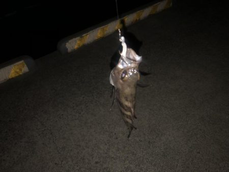 ガルプ強すぎwww。