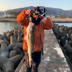 フロートからの、、、