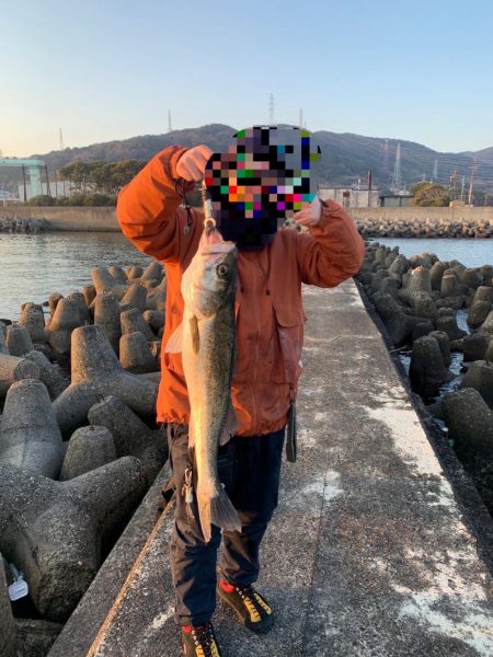 フロートからの、、、