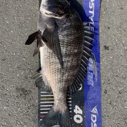 イチノ兄弟、釣果！