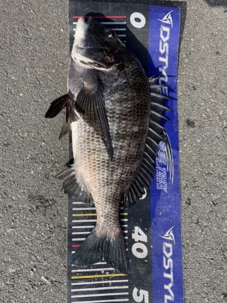 イチノ兄弟、釣果！