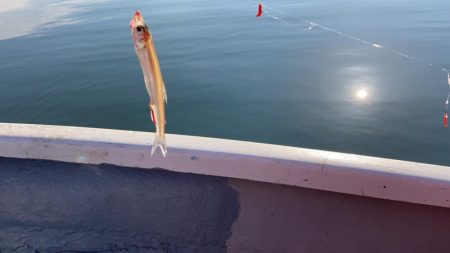 入鹿池でワカサギ釣り