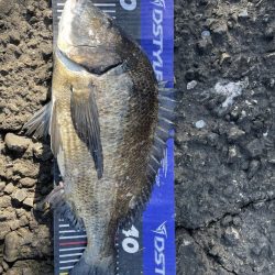 イチノ兄弟、釣果!