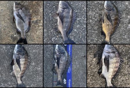 イチノ兄弟、釣果！