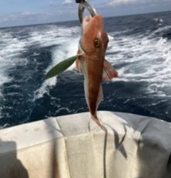 オフショアジギング