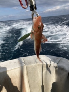 オフショアジギング