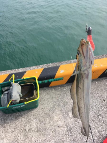 ぷりぷりテール最高