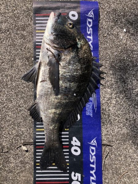 イチノ兄弟、釣果!