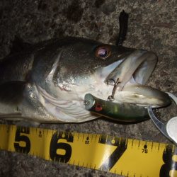 厳しいながらも何とか