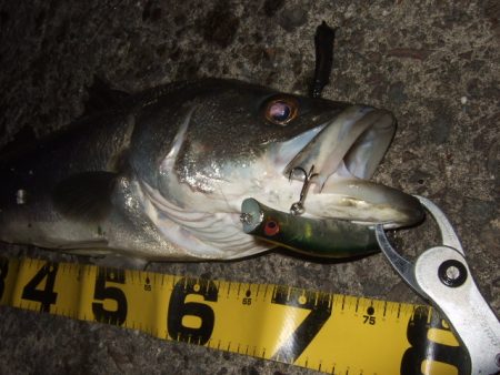 厳しいながらも何とか