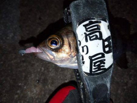 仕事帰りにメバリング