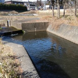 バラシ連発後、執念の1匹