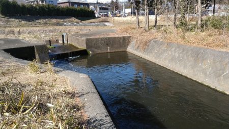 バラシ連発後、執念の1匹