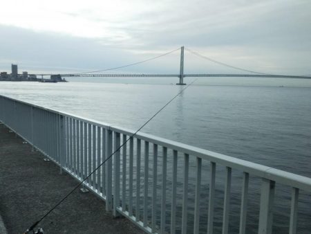 夜勤明け居眠り釣行