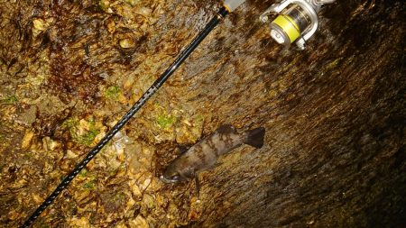 【メジャークラフト】の「ナノラバ」でお気軽ショート ゲーム (20分)