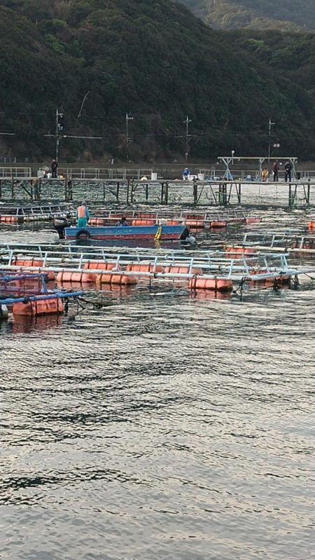 小島養魚場でトラウトサーモン☆