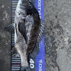 イチノ兄弟、釣果！