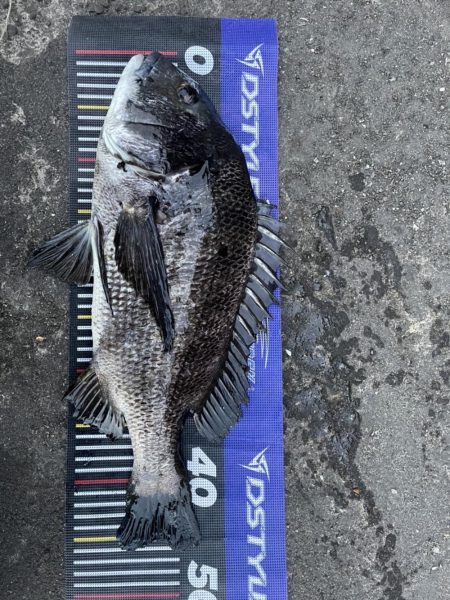 イチノ兄弟、釣果！