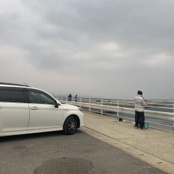 エギング釣行さん③