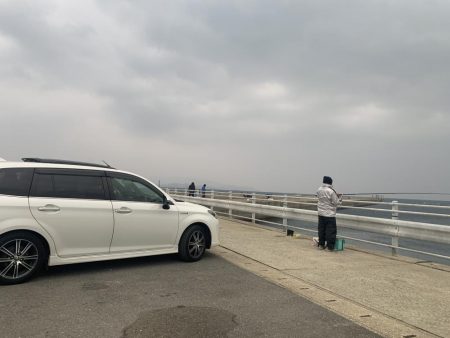 エギング釣行さん③