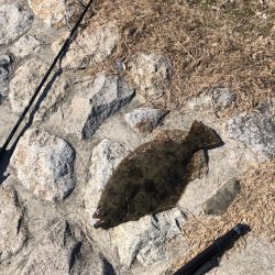 バルトの威力Ⅱ(丸飲み)