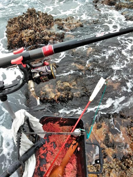 フカセ‥最高ですネ・・