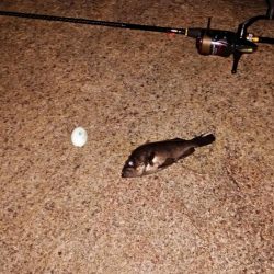 まさかの悪天候