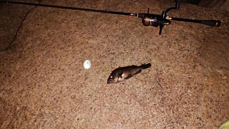 まさかの悪天候