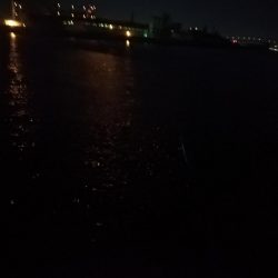 めっちゃ臭い奴!