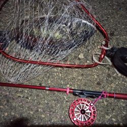 2022/02/12 南港ヘチ釣り