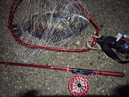 2022/02/12 南港ヘチ釣り