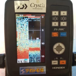 河口湖さかなやドームワカサギ釣り