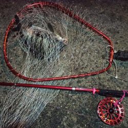 2022/02/26 南港ヘチ釣り釣行