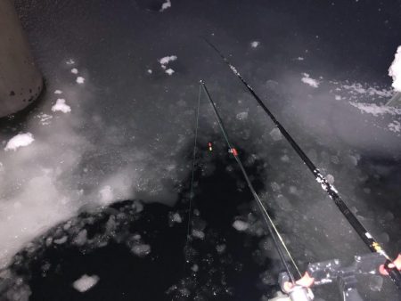余呉湖ワカサギ釣り