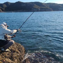 和歌山市江(吉丸渡船)で磯フカセ