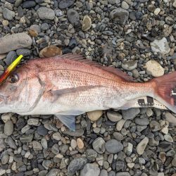 ヒラメ狙いで、まさかの…