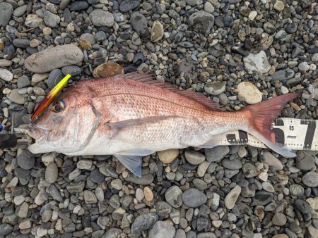 ヒラメ狙いで、まさかの…