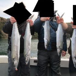 サゴシ狙いで連子鯛