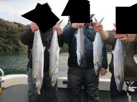 サゴシ狙いで連子鯛