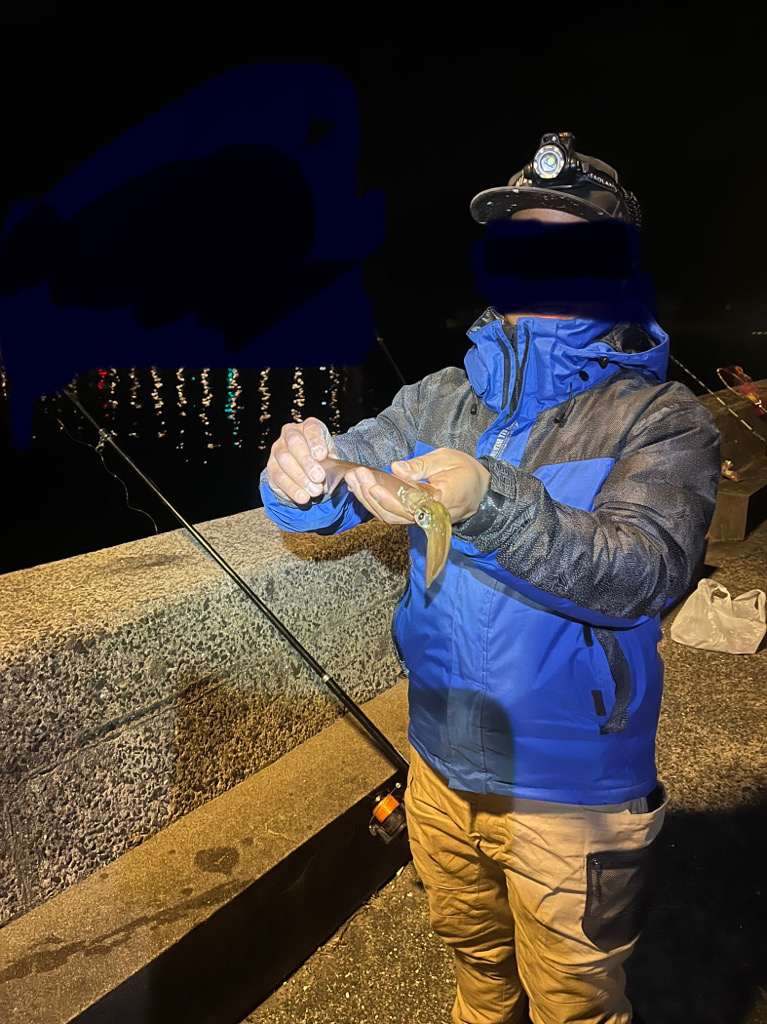 今年初ヤリイカ！