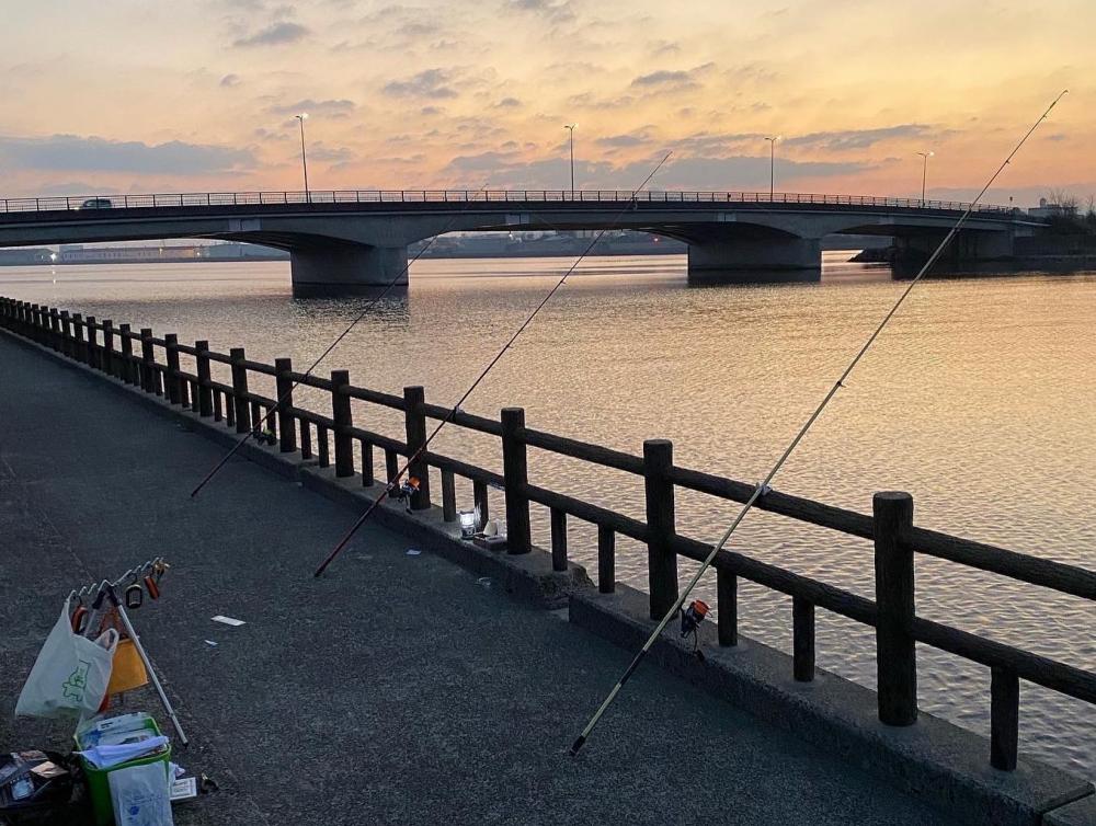 花見カレイ、アイナメ、五目釣り