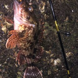 スロープの境目でドーン!!