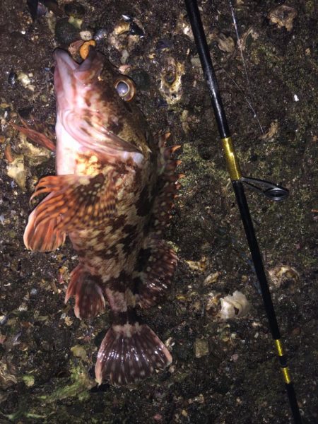 スロープの境目でドーン!!