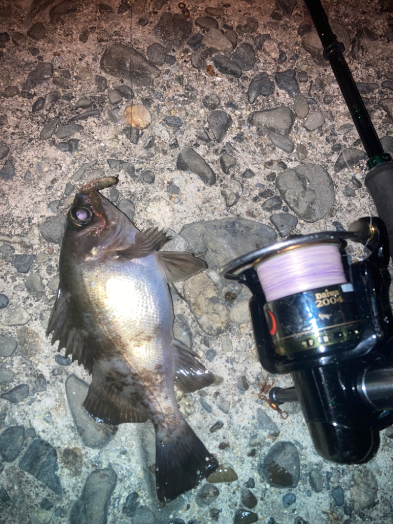 虫ヘッドでメバリング