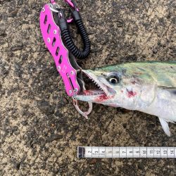 さらしの下はやっぱり激アツ!