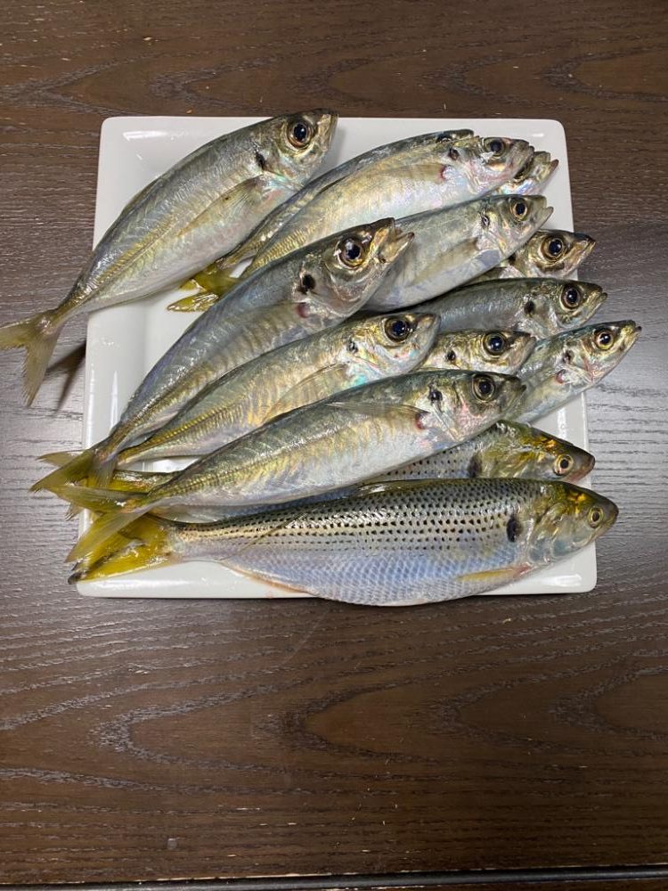 極寒、爆風の中・・・