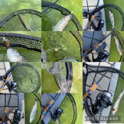 かめプー　亀岡市　