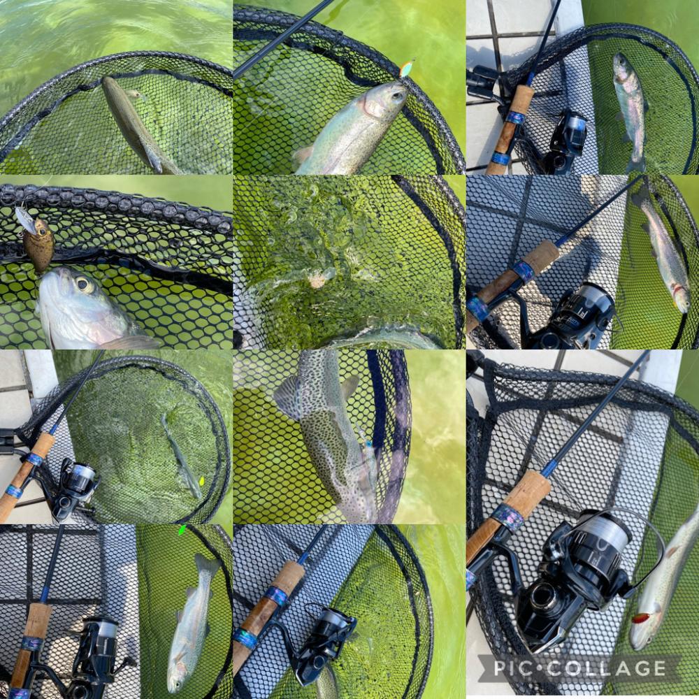 かめプー　亀岡市　