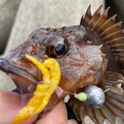 厳しい穴釣り#5