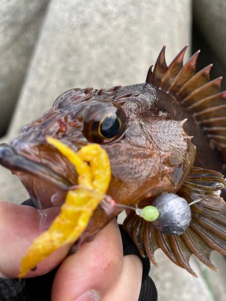 厳しい穴釣り#5